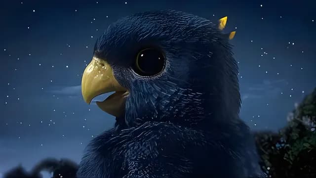 Xiao Hei